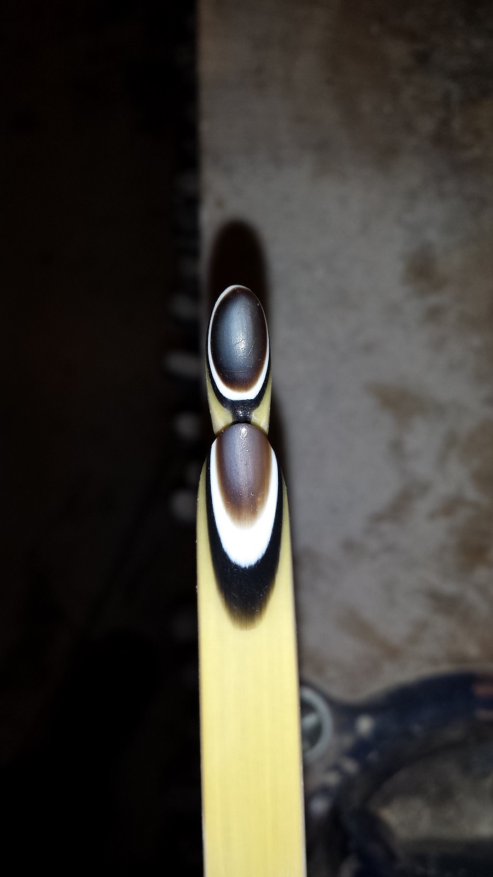 Un nouveau Semi Longbow nommé "Sapiens" 1_306_10