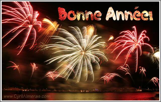 Bonne année 2016 Bonne_10