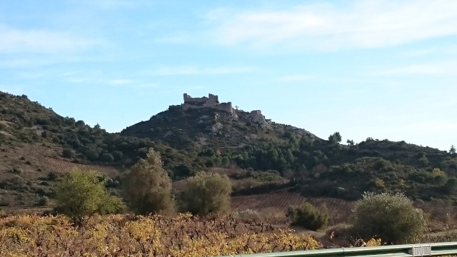 CR Clôture de l'année 2015 des grandes sorties du TSO Dsc_0311