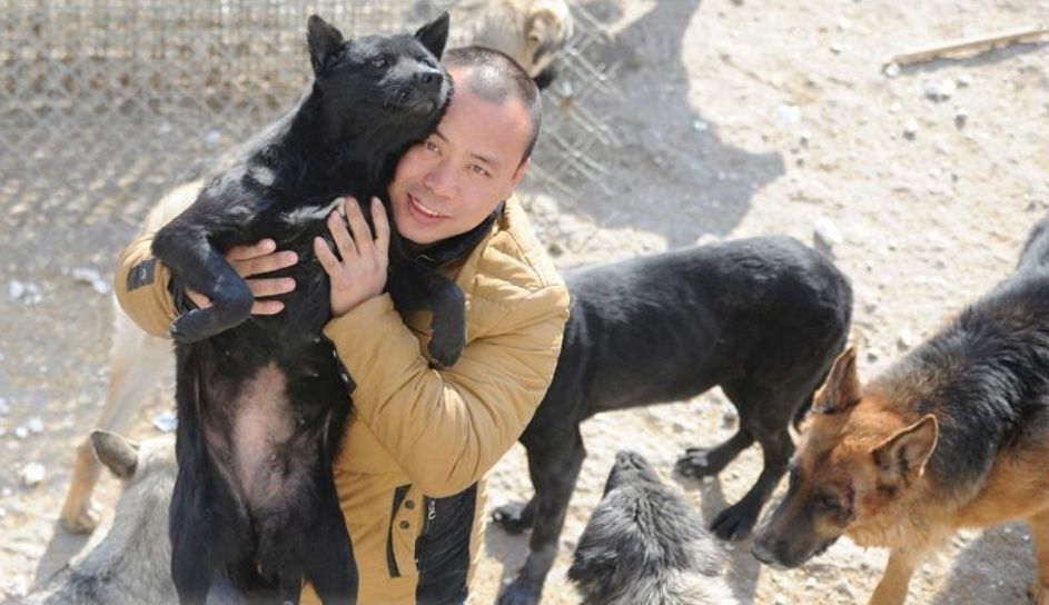Китаец свои спустил миллионы на собак Ai15