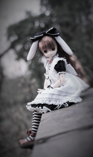 [ Azone / Pureneemo Classic Alice Tick Tock Rabbit ] Img_9714