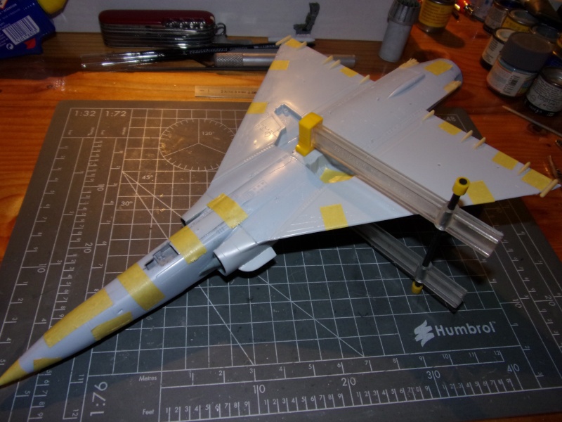 DASSAULT MIRAGE 2000 C 1/48ème Réf 80426 - Page 2 100_0914