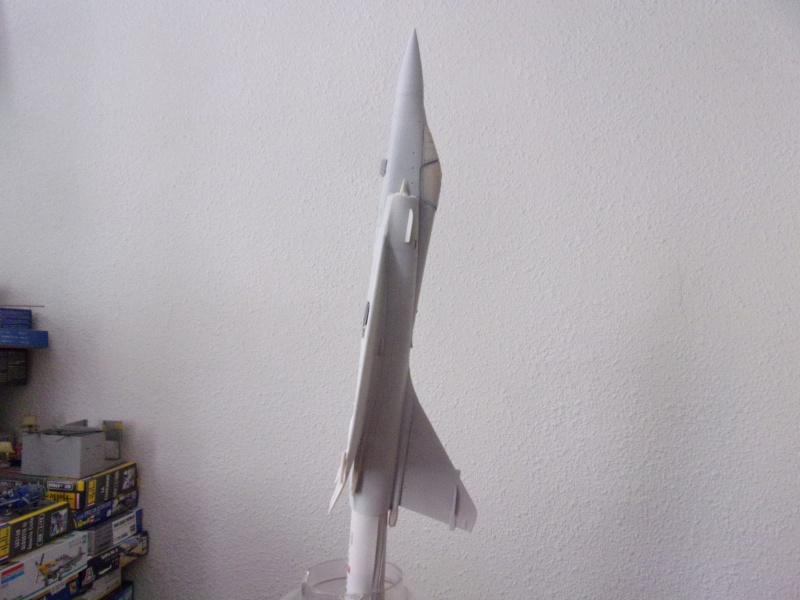 DASSAULT MIRAGE 2000 C 1/48ème Réf 80426 - Page 3 100_0959