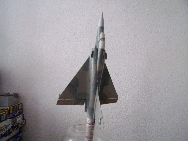 DASSAULT MIRAGE 2000 C 1/48ème Réf 80426 - Page 3 100_0967