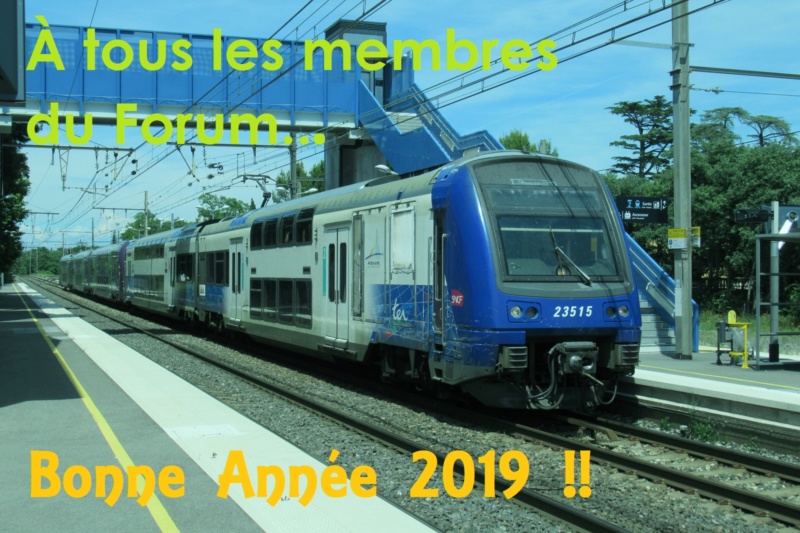 Une très bonne année 2019 à tous! - Page 2 Carte_11