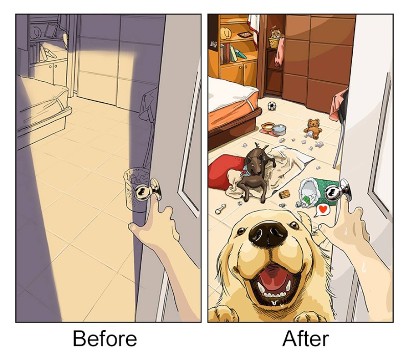 La vie avant et après avoir adopté un chien  Life-b10