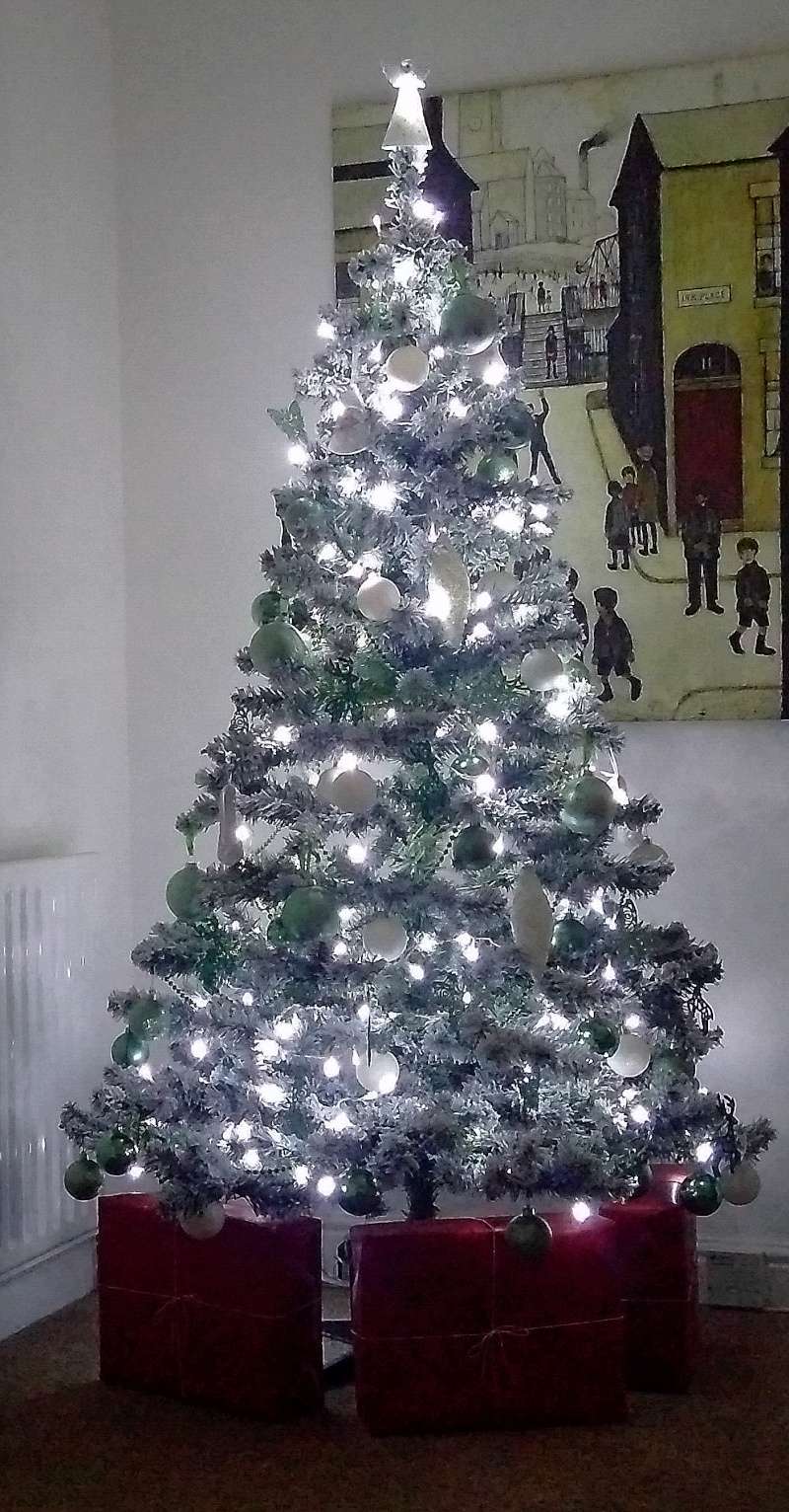 Christmas Tree Img_2013
