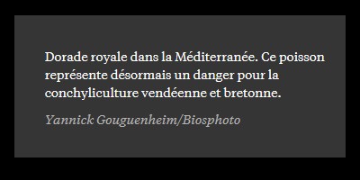 L’électronique au secours des huitres et des moules Sans_644