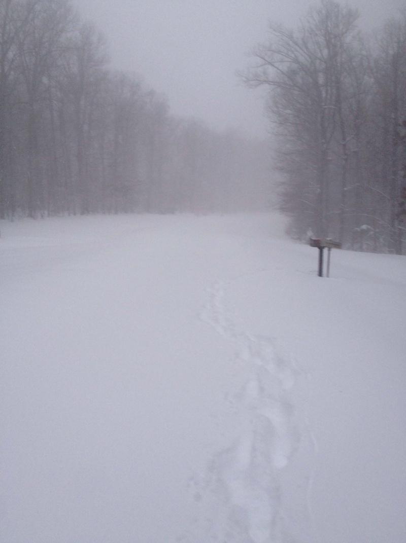 Holy snow Batman! - Page 3 Street10