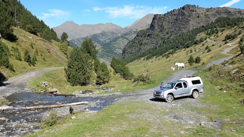 Arbeitsurlaub in den Pyrenäen 20150932