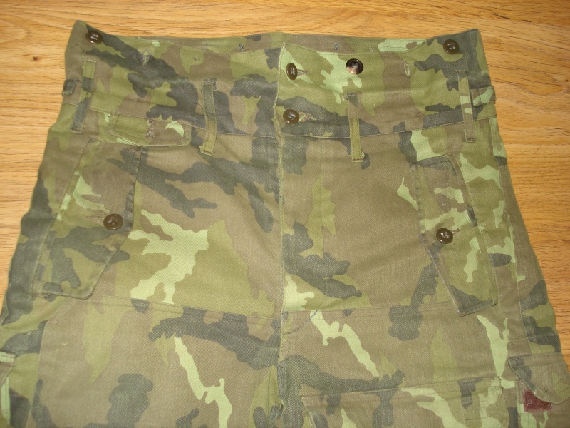 Slovak para uniform vz. 85PV Dsc08023