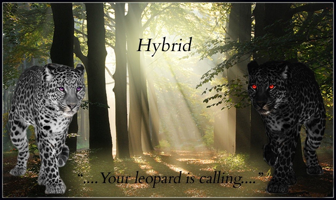 Hybrid: A Realistic Leopard Role Play Site M = 10 Hybrid11