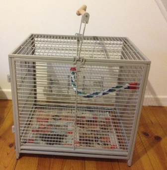 A vendre Cage de transport Photo_10