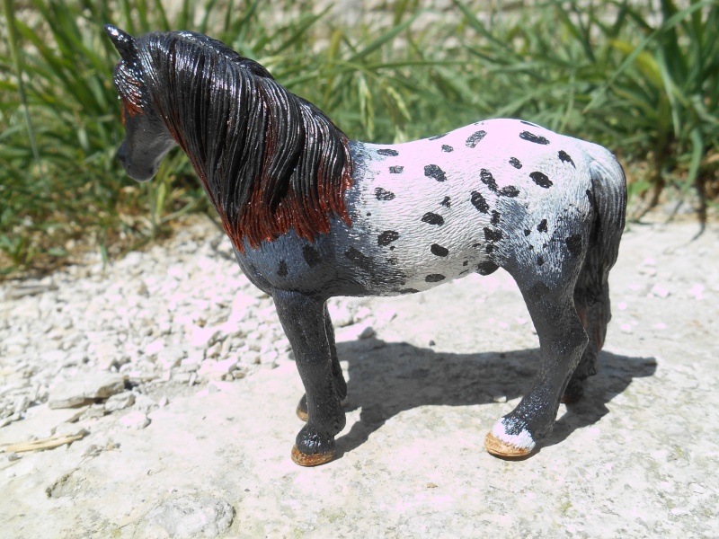 Les chevaux de l'Ym ~ Yukym's customs  Starfa12