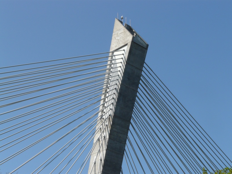 Première mondiale : 2011, le pont à haubans et tablier courbe de Térénez P1540612