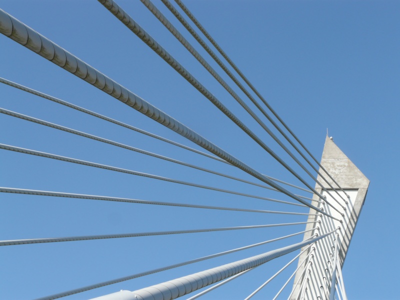 Première mondiale : 2011, le pont à haubans et tablier courbe de Térénez P1540615