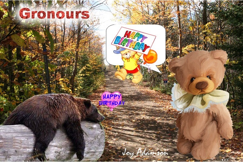 Bon anniversaire Gronours Annive18