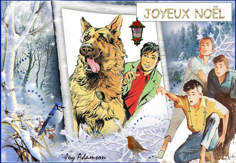 LA PAGE DE NOEL DU FORUM Les_si10