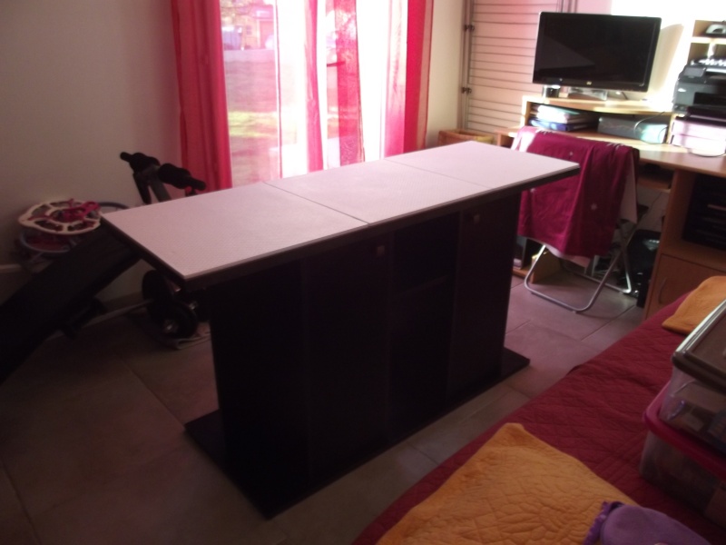 Evolution de la renovation du 450 L ( avec photos)  + probleme cycle d'azote 00110