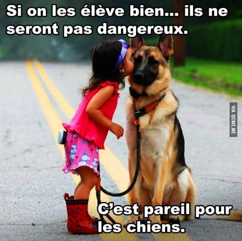 Comme chiens et chats - Page 2 Si_on_10