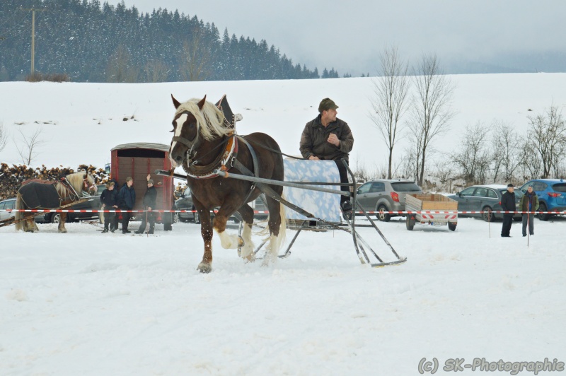 Pferdeschlittenrennen Bärnzell (Niederbayern) 24.01.2016 Pb_10_10