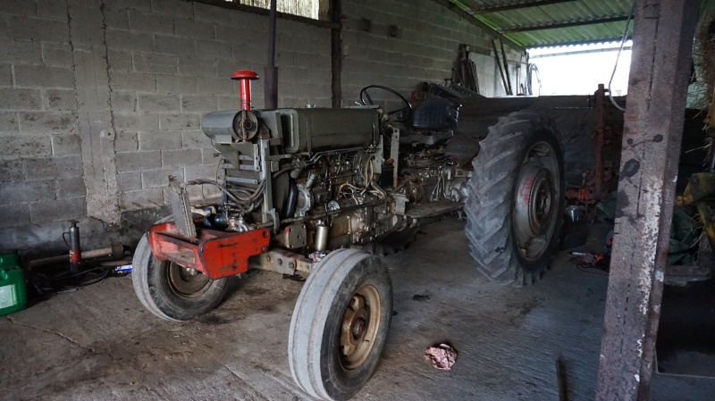 Restauration d'un Massey - Page 5 Dsc02915