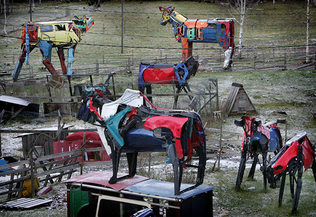 Auto vache Miina-13