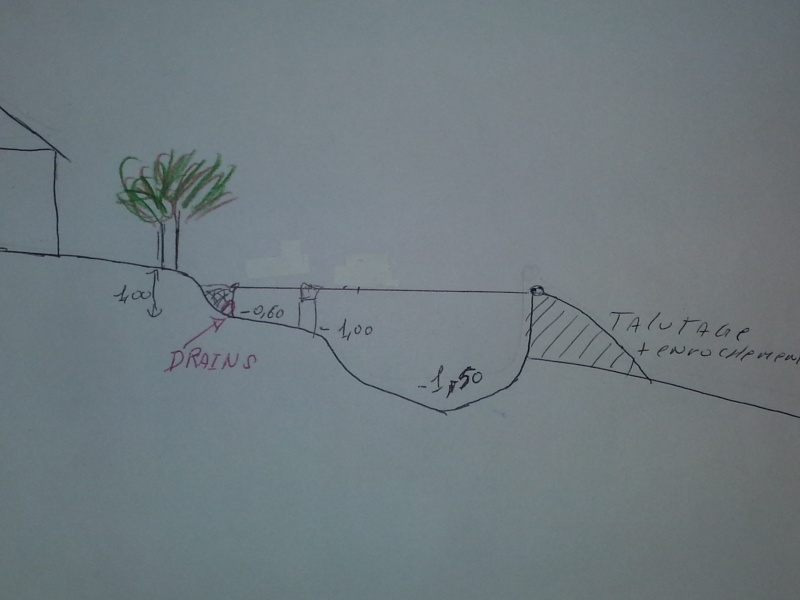 nouveaux bassin et filtration .... Vue_en10