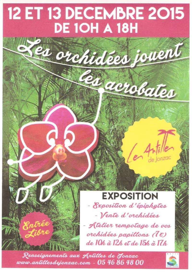 Expo d'orchidées à Jonzac (17) les 12 et 13/12/2015 Expo_d10