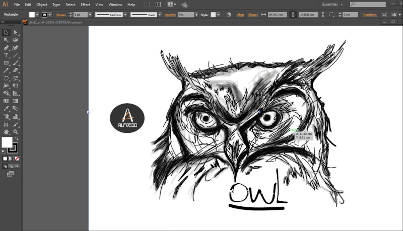 Sketsa Burung Malam Owl210