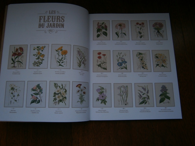 Les Fleurs du Jardin - éd. FLEURUS Pc030011