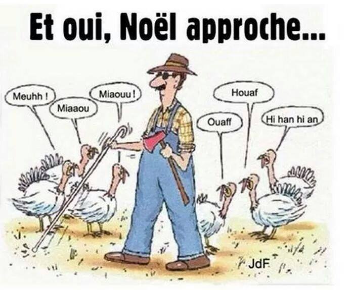 Humour en image du Forum Passion-Harley  ... - Page 29 12316510