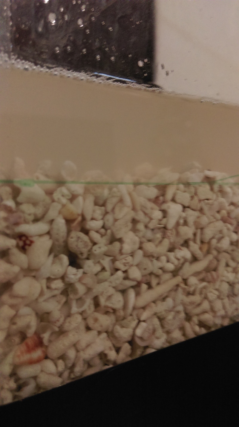 First 60-->120 litres DIY - Page 3 Imag0819