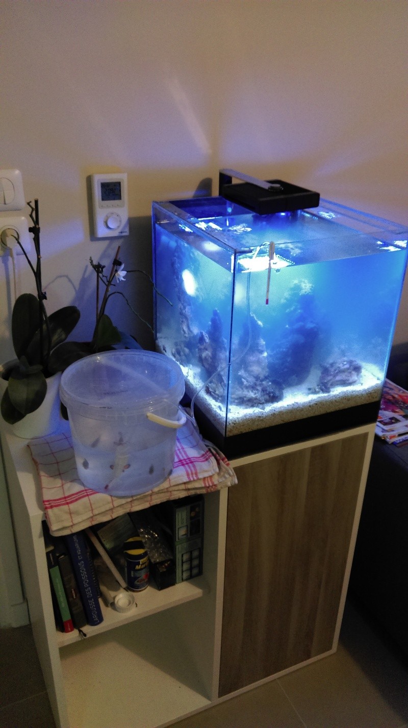 First 60-->120 litres DIY - Page 3 Imag0820