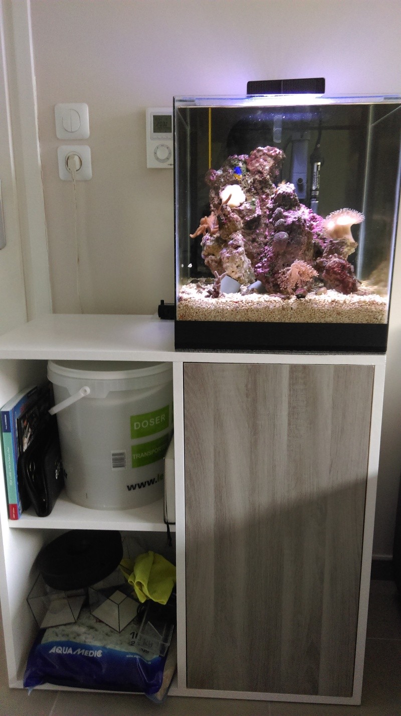First 60-->120 litres DIY - Page 4 Imag0919