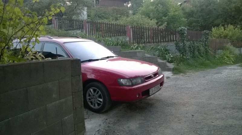 Red soul Corolla  Wp_20113