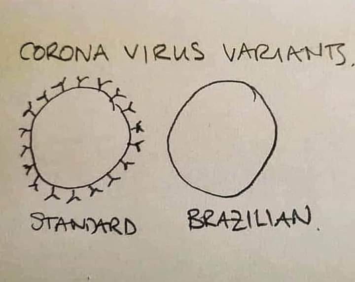 Corona memes i slično - Page 7 Brazil10