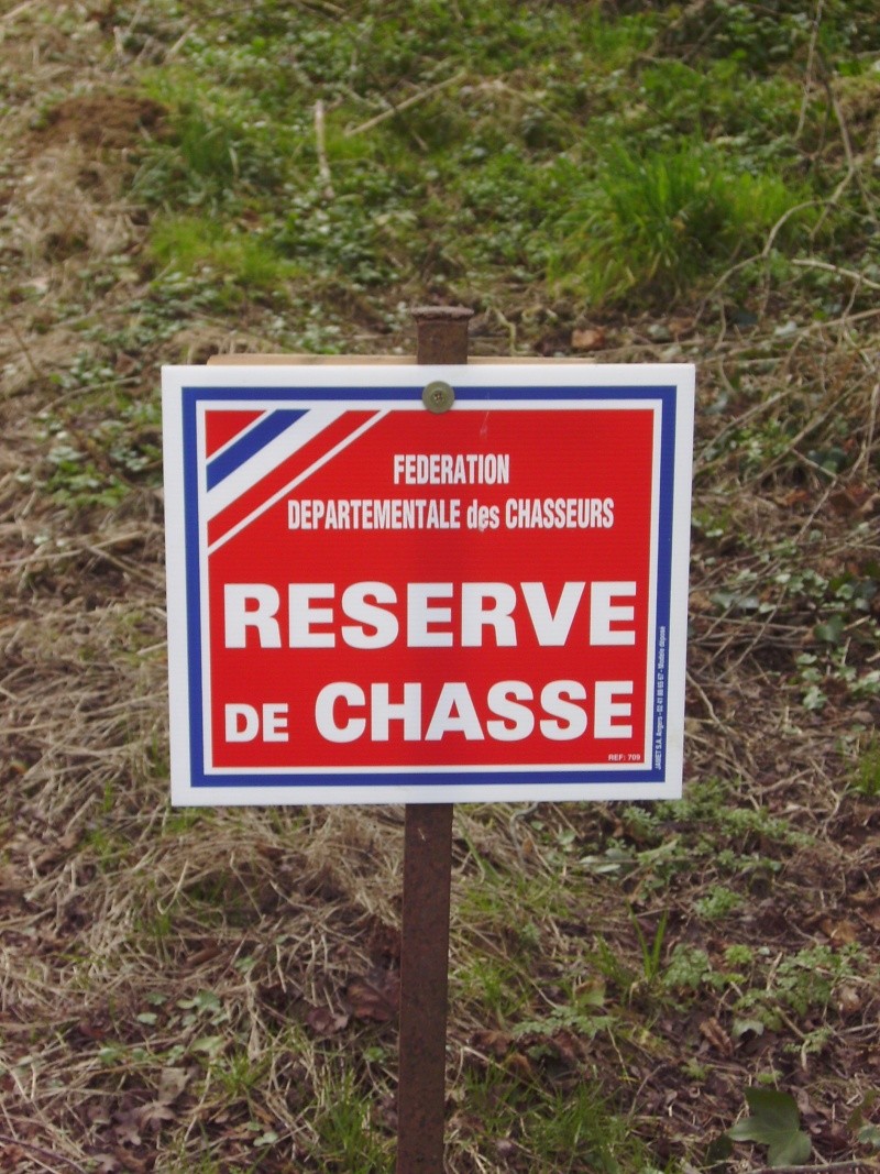 La réserve de chasse Ryserv10