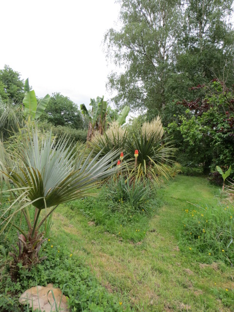 mon jardin 2020 Img_1412