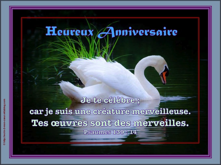 Bon anniversaire Fiesta. C001_010