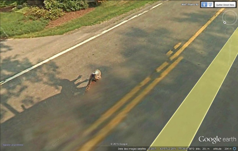 Endroits insolites en Street View Faon_210