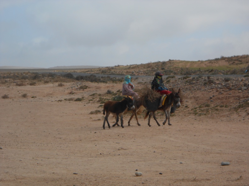désert marocain Dscn2111