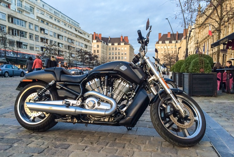 Guidon night rod special sur Muscle Img_1811