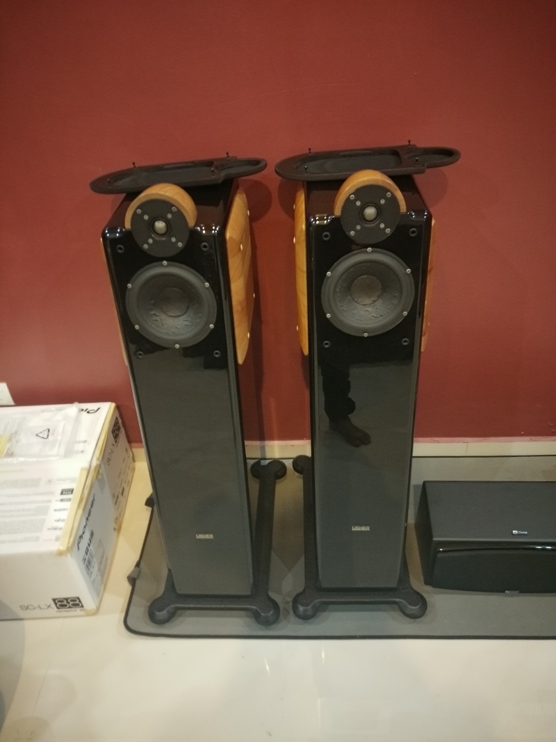 usher cp6311 floorstand speaker ( sold ) Img20111