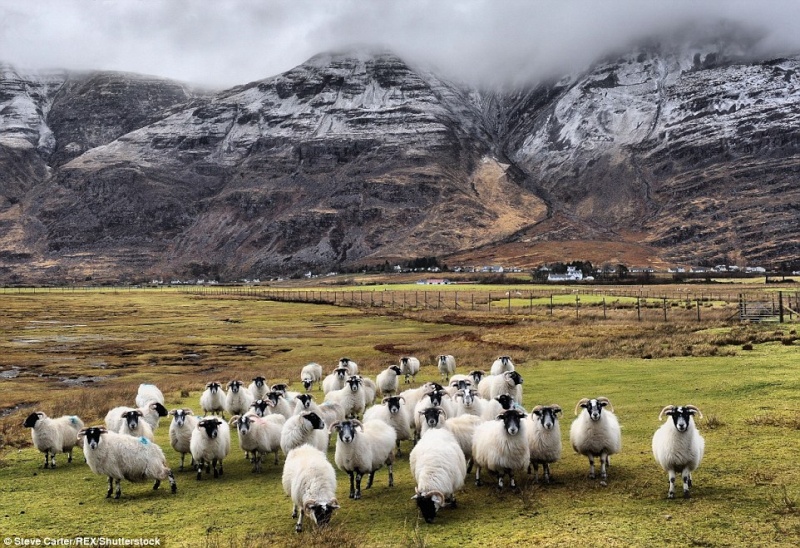 six beautiful pics from scotland Scot510