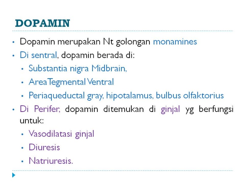 Dopamin Pathway Slide312