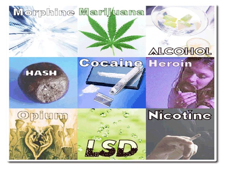 Deteksi Dini Penggunaan Narkoba Slide611