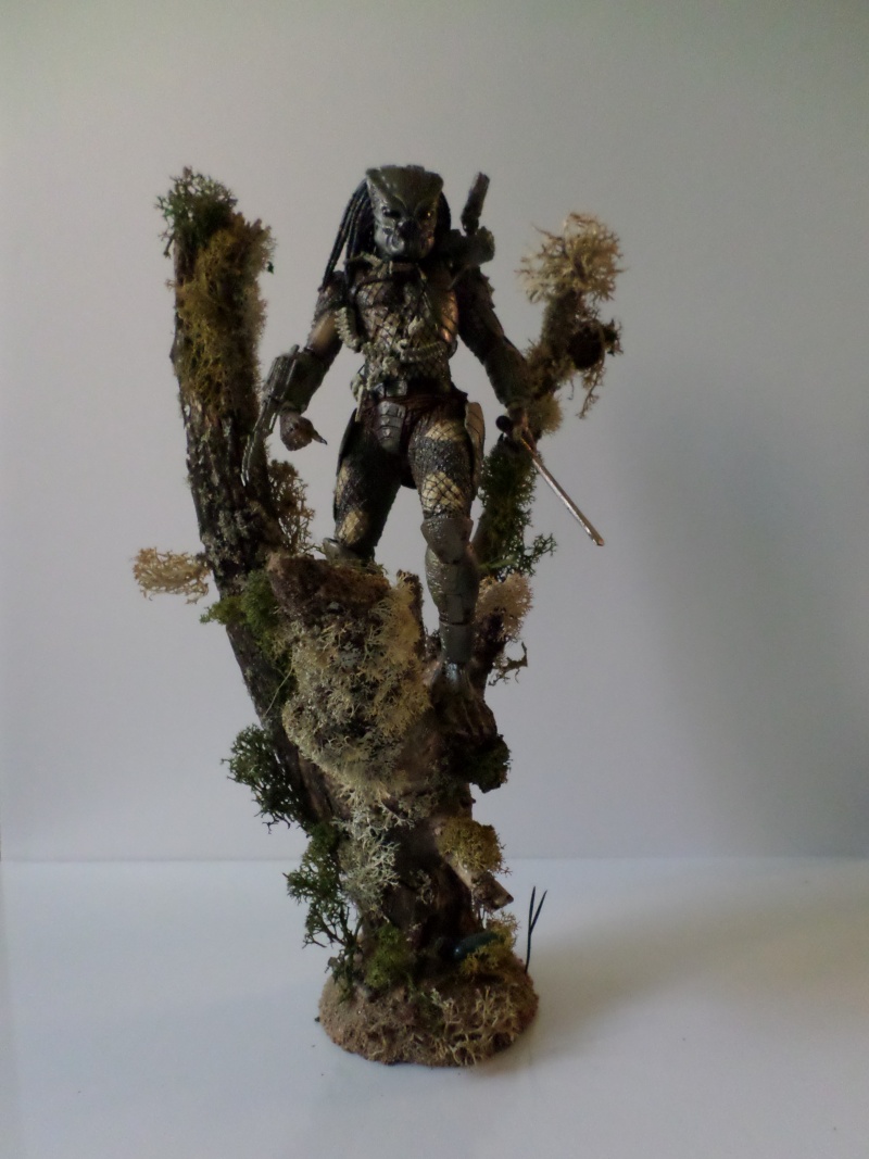 Les dioramas de diogene Sam_0810