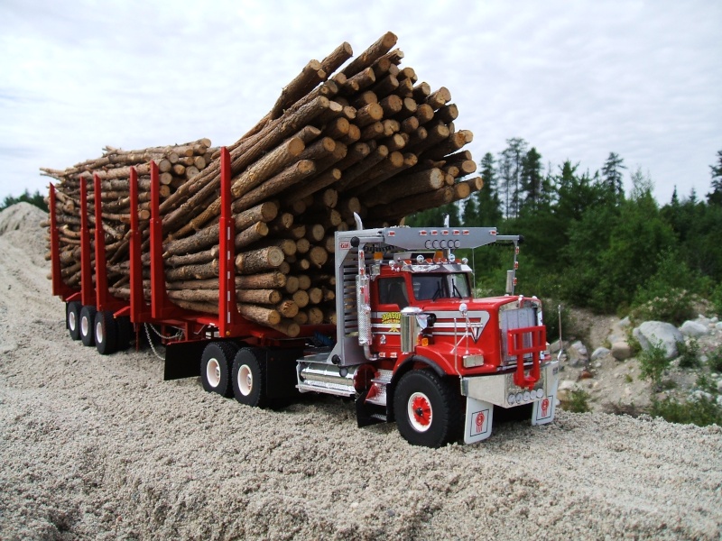 camion forestier 1_04211
