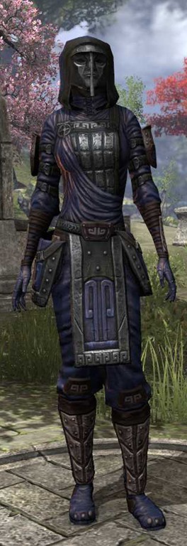 Skin d'armure lourde ,intermédiaire et léger ! Dwemer19